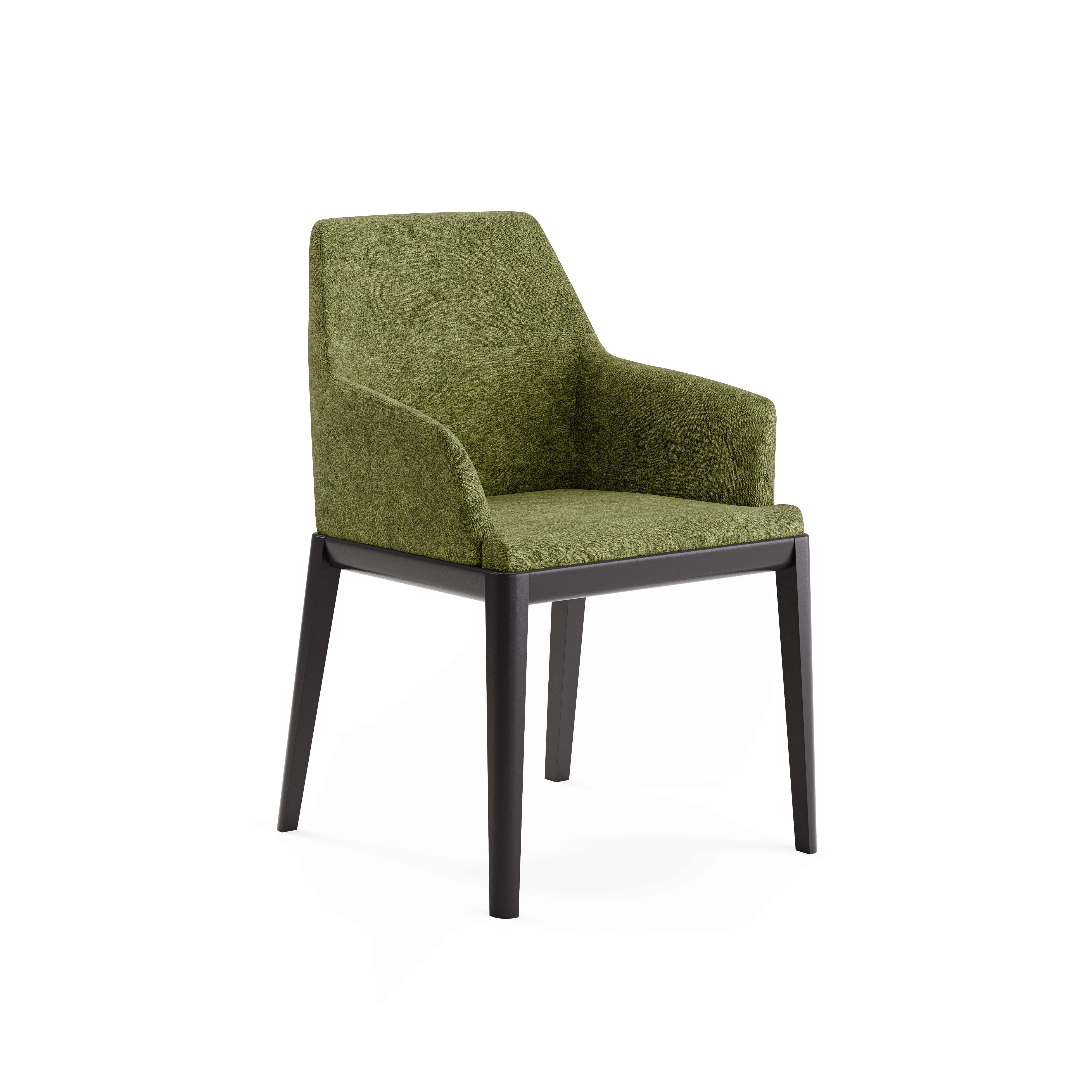 Erus Armchair — view or finish 29