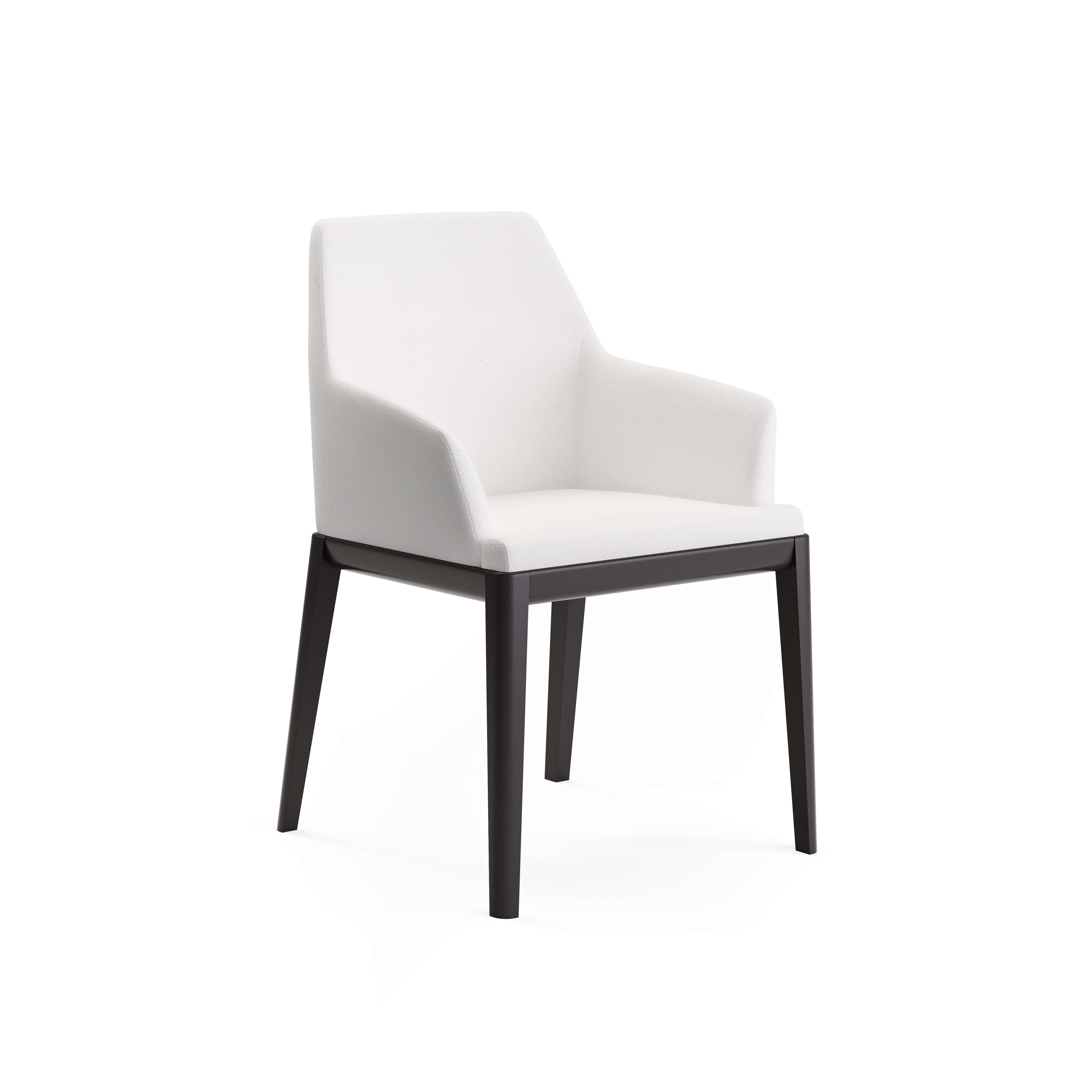 Erus Armchair — view or finish 23