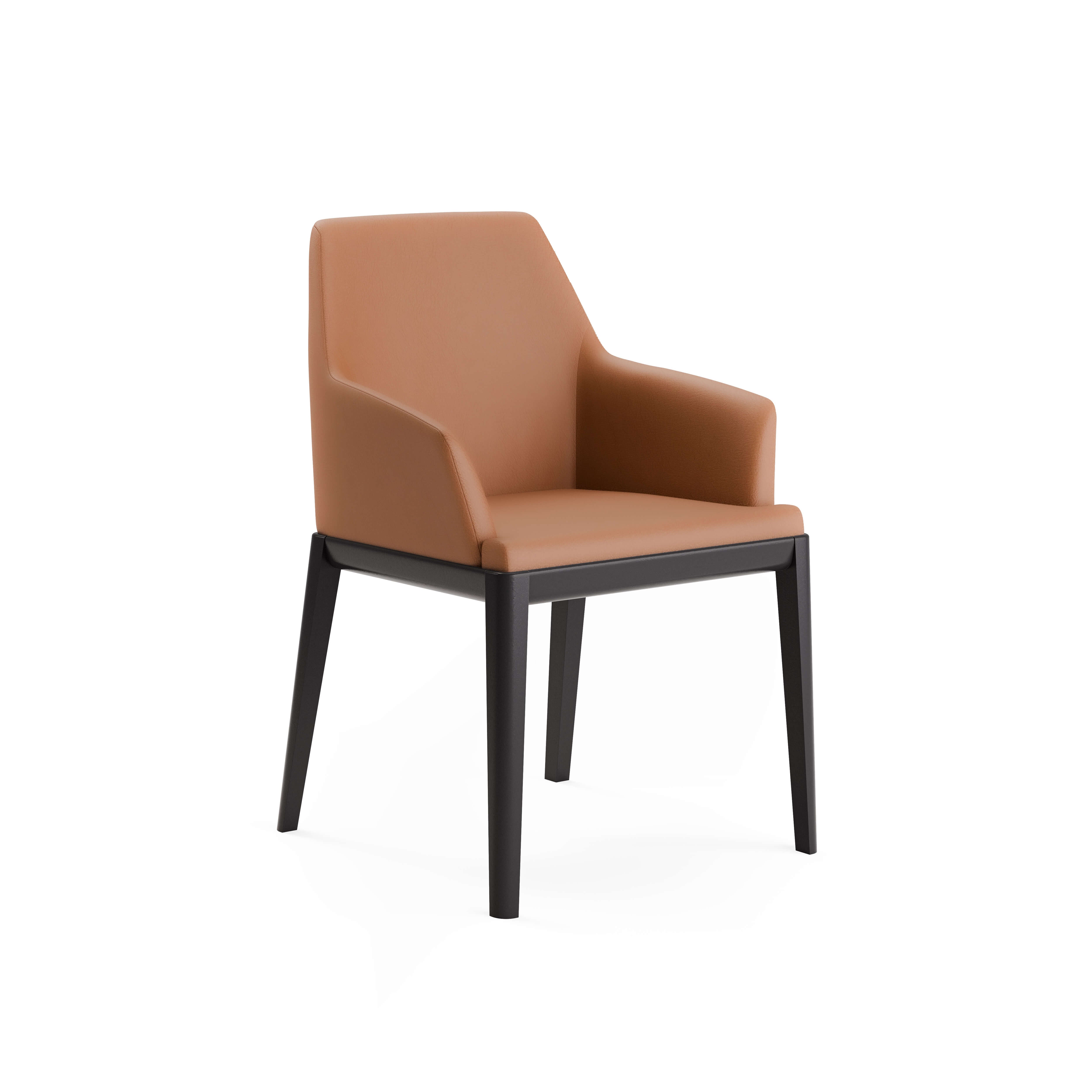 Erus Armchair — view or finish 25