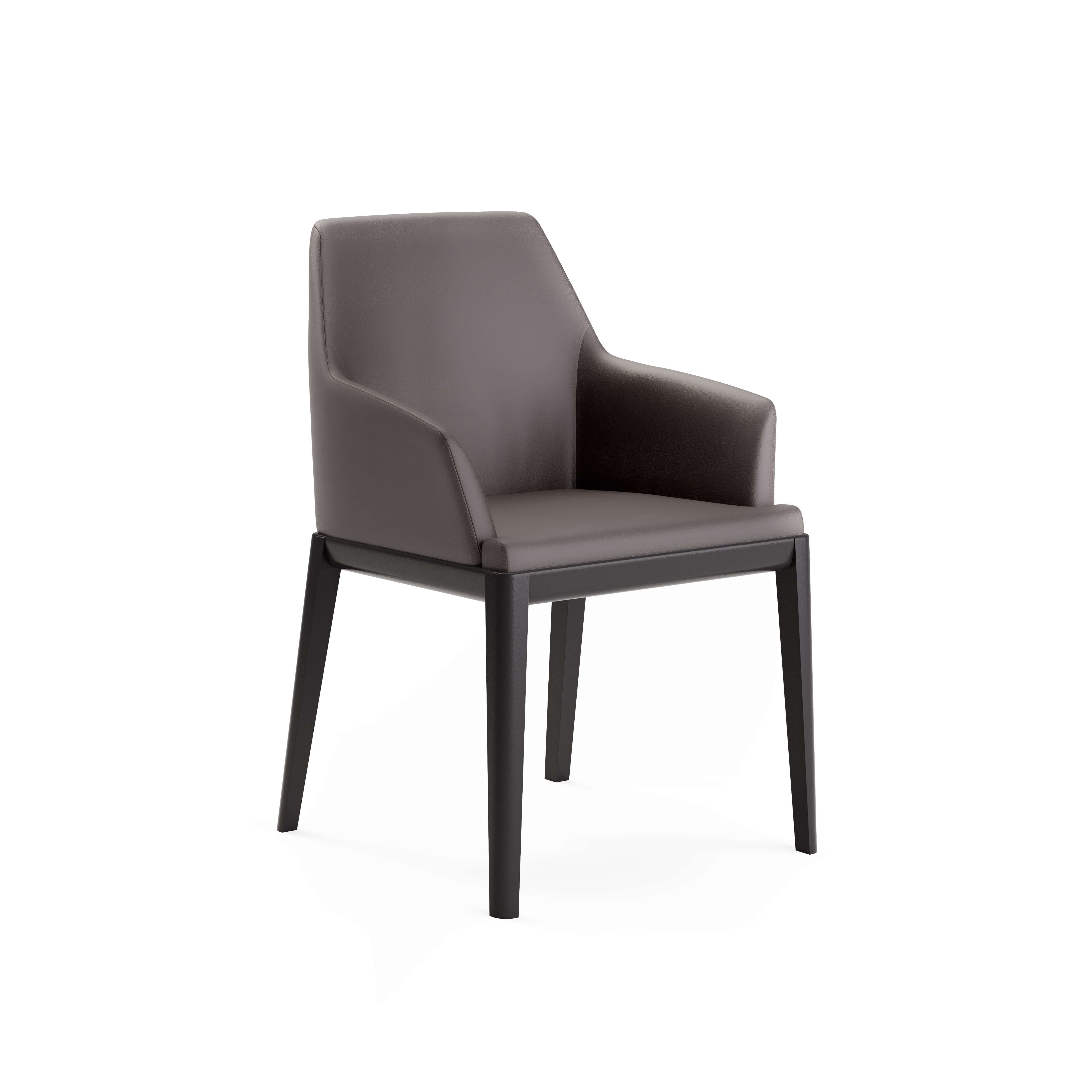 Erus Armchair — view or finish 26