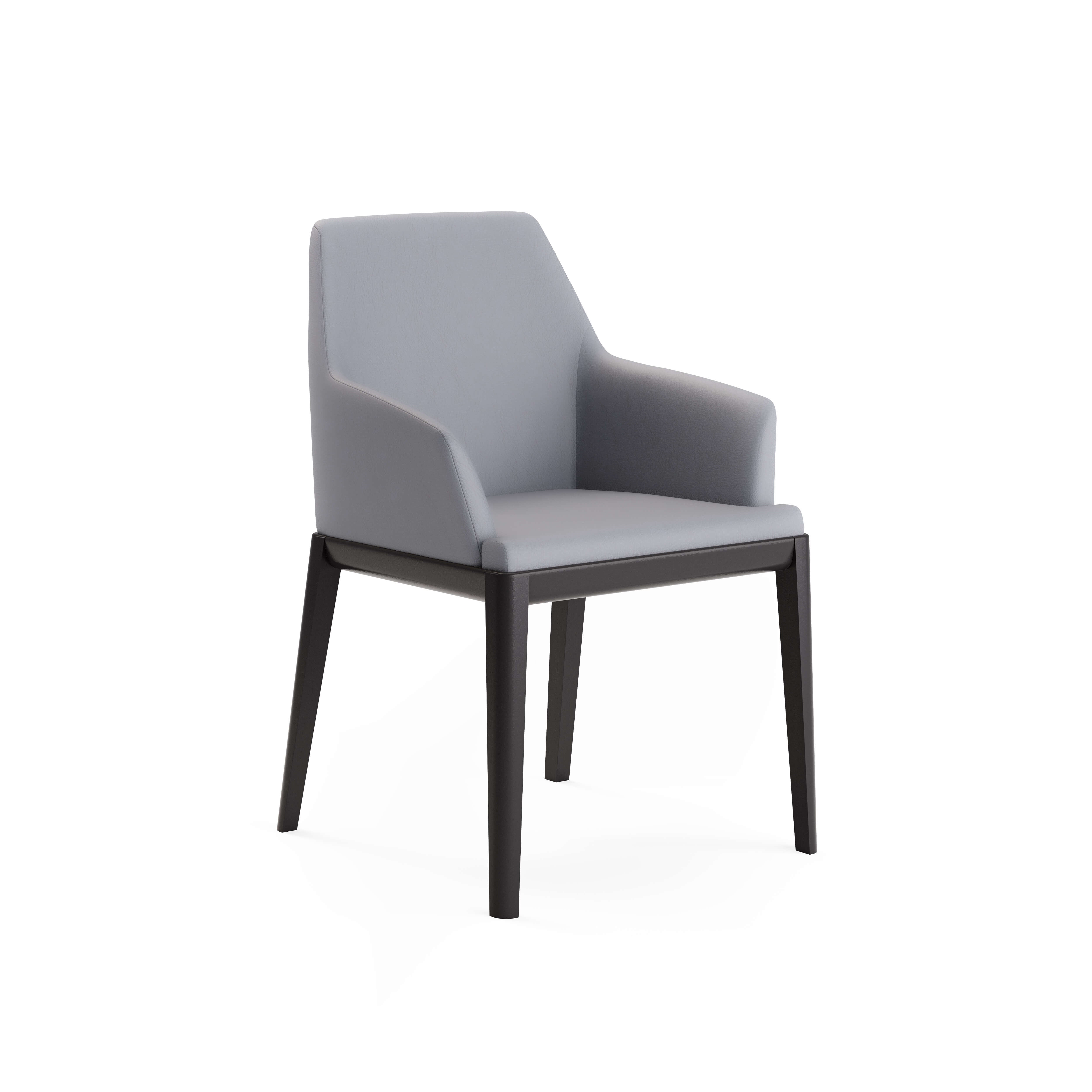 Erus Armchair — view or finish 28
