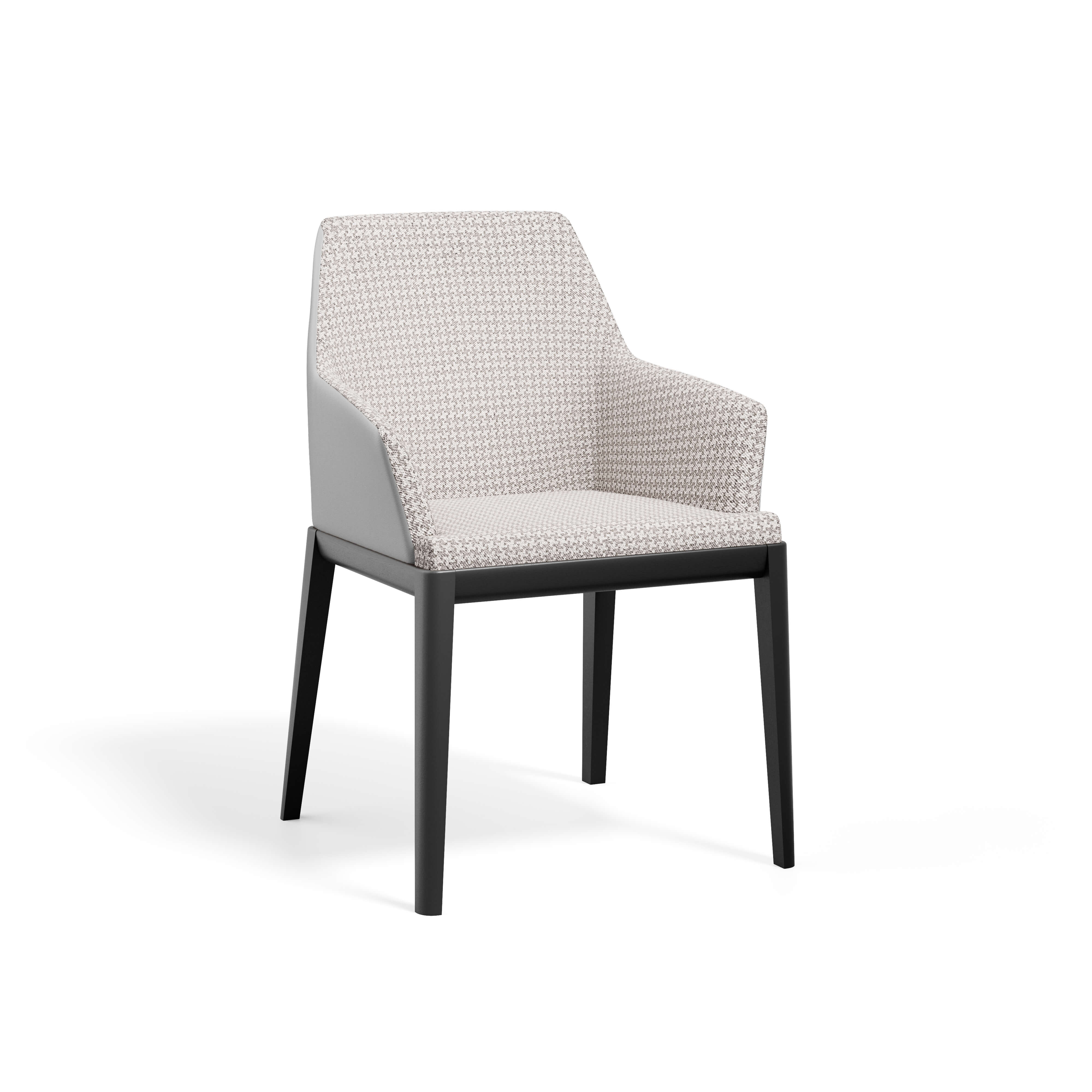 Erus Armchair — view or finish 20