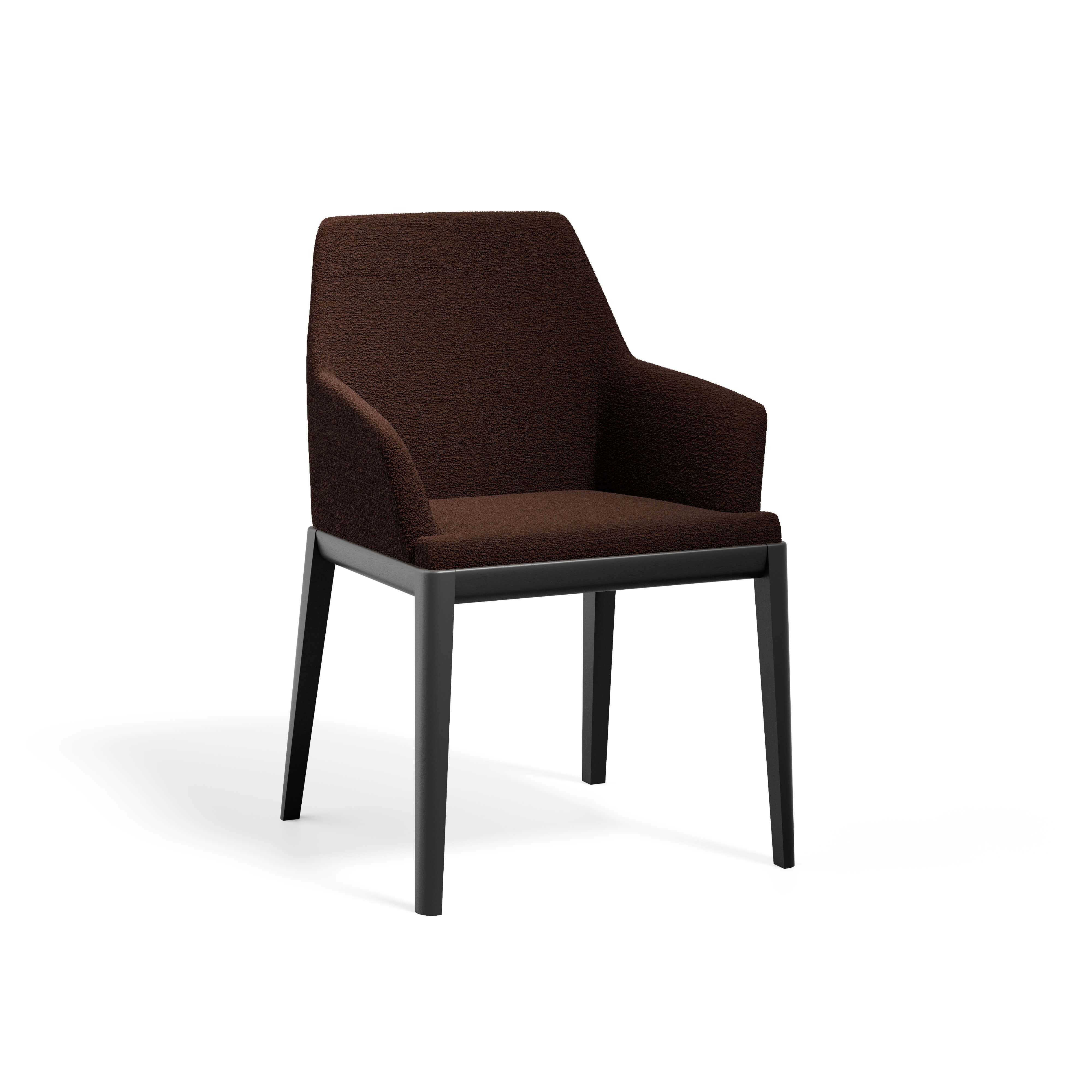 Erus Armchair — view or finish 17