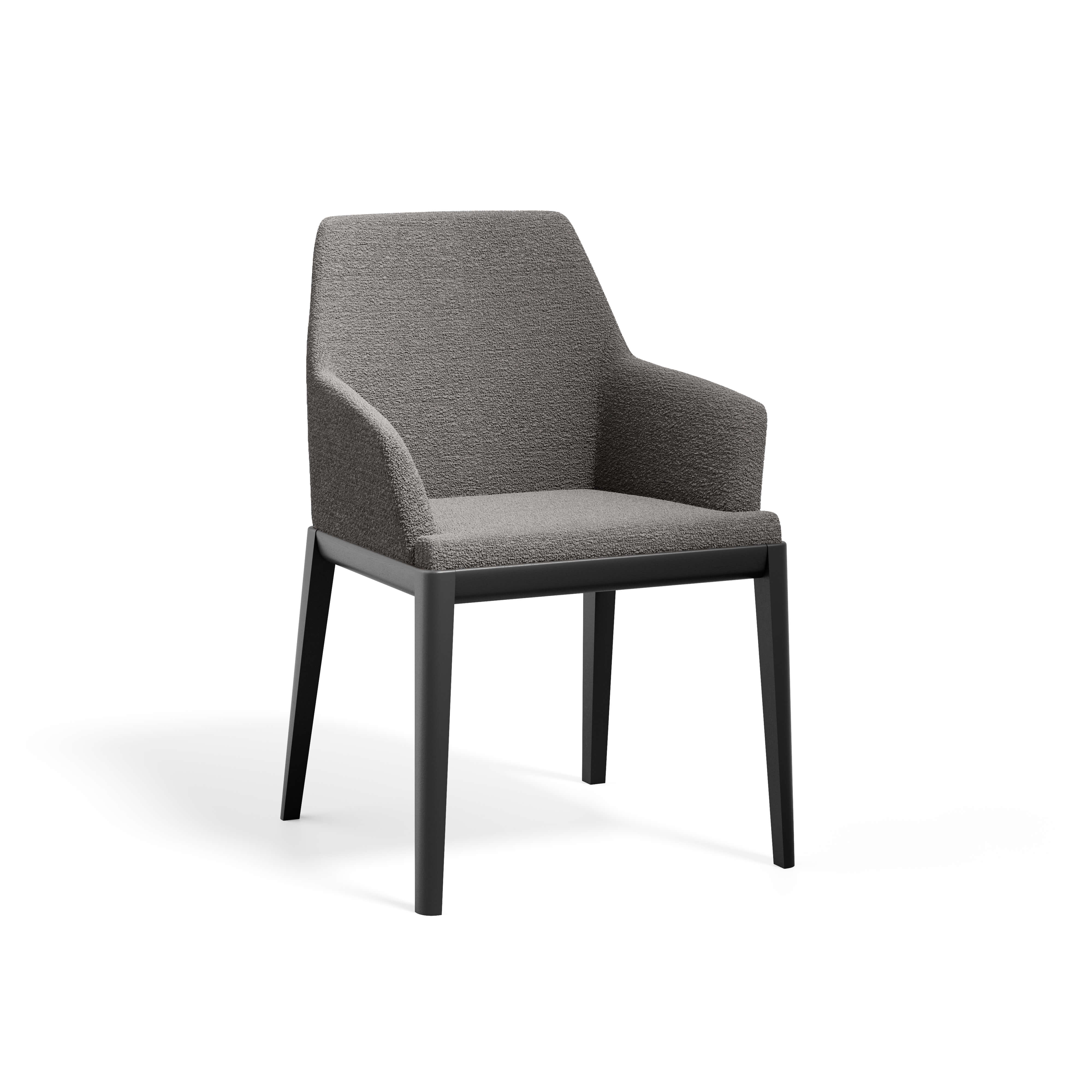 Erus Armchair — view or finish 18