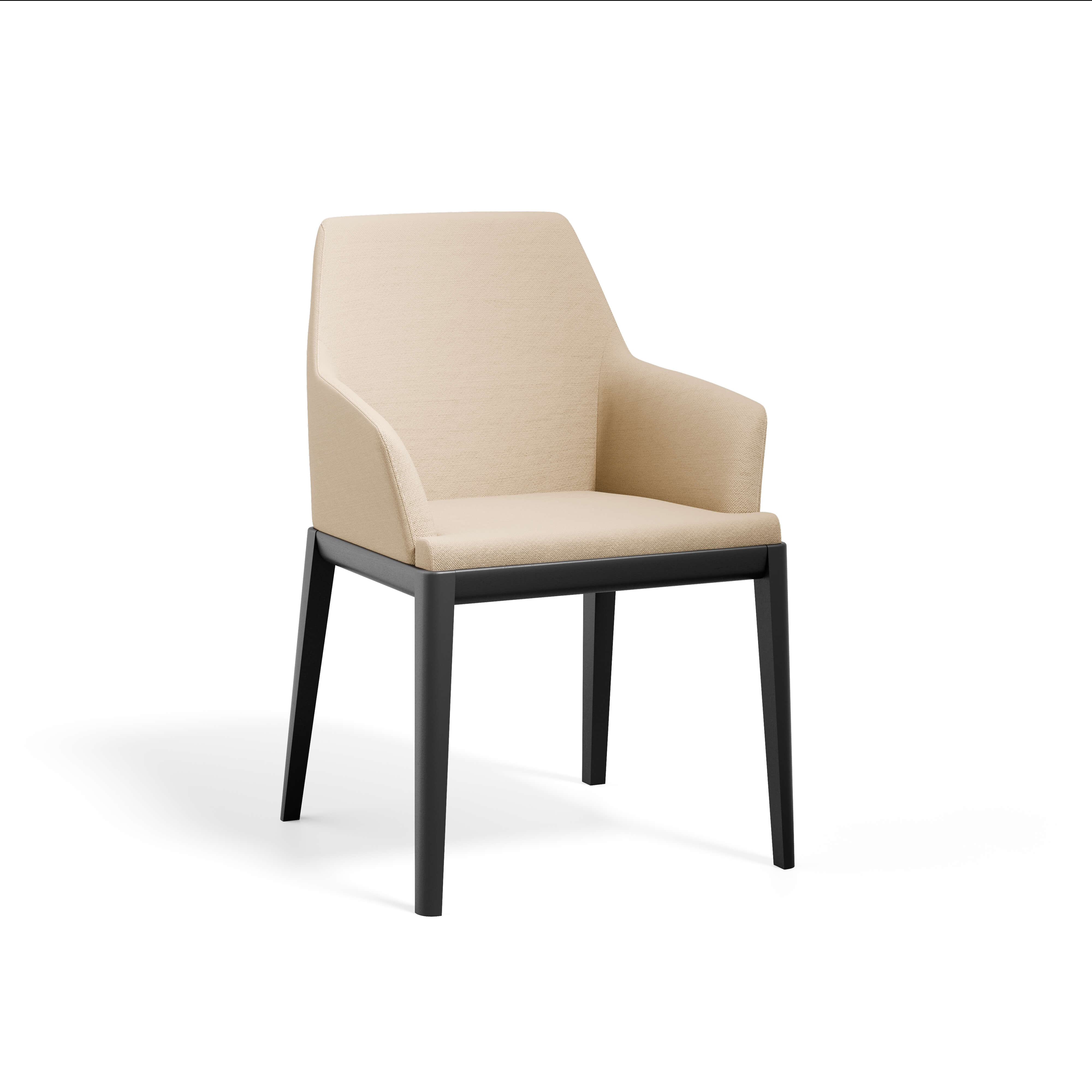 Erus Armchair — view or finish 16