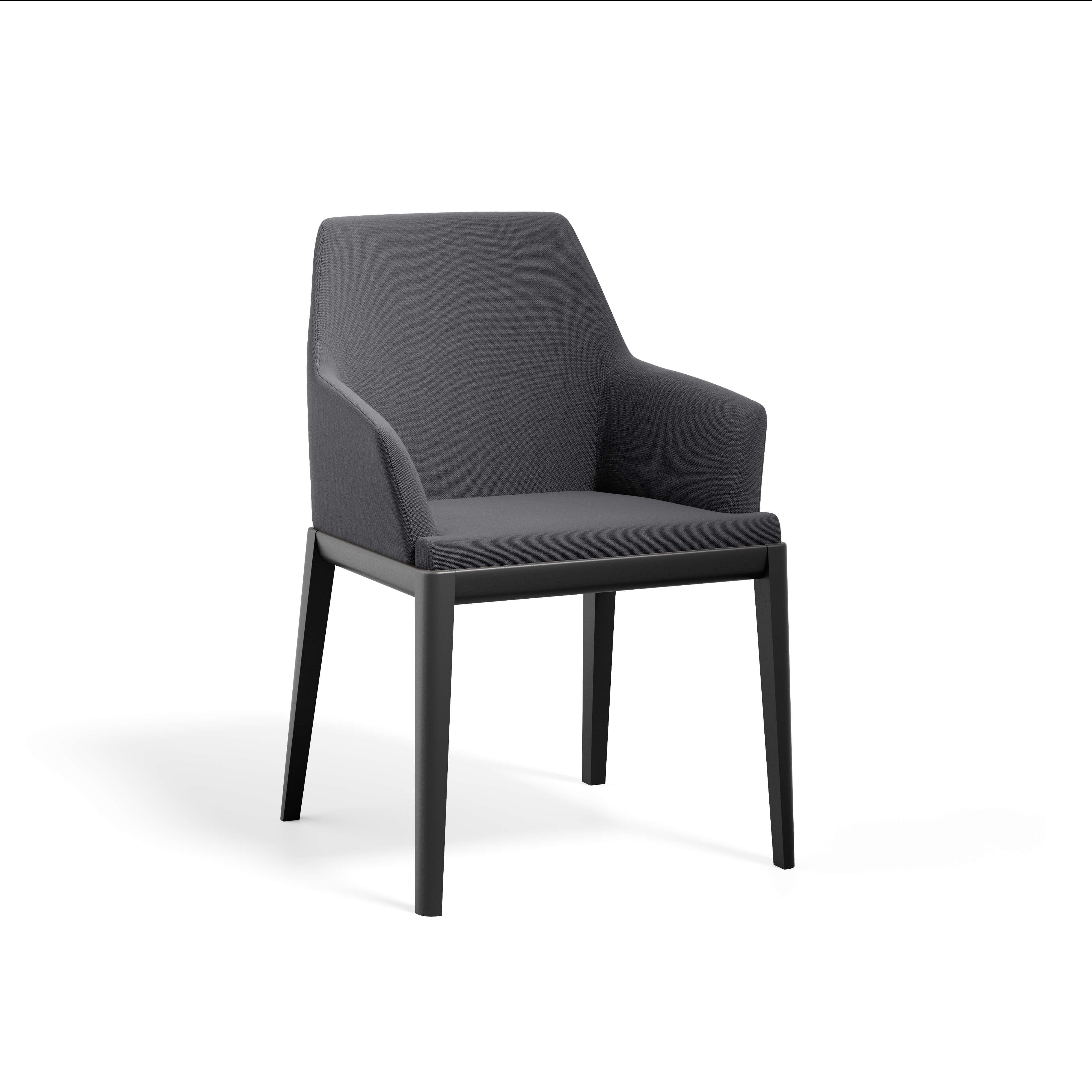 Erus Armchair — view or finish 15