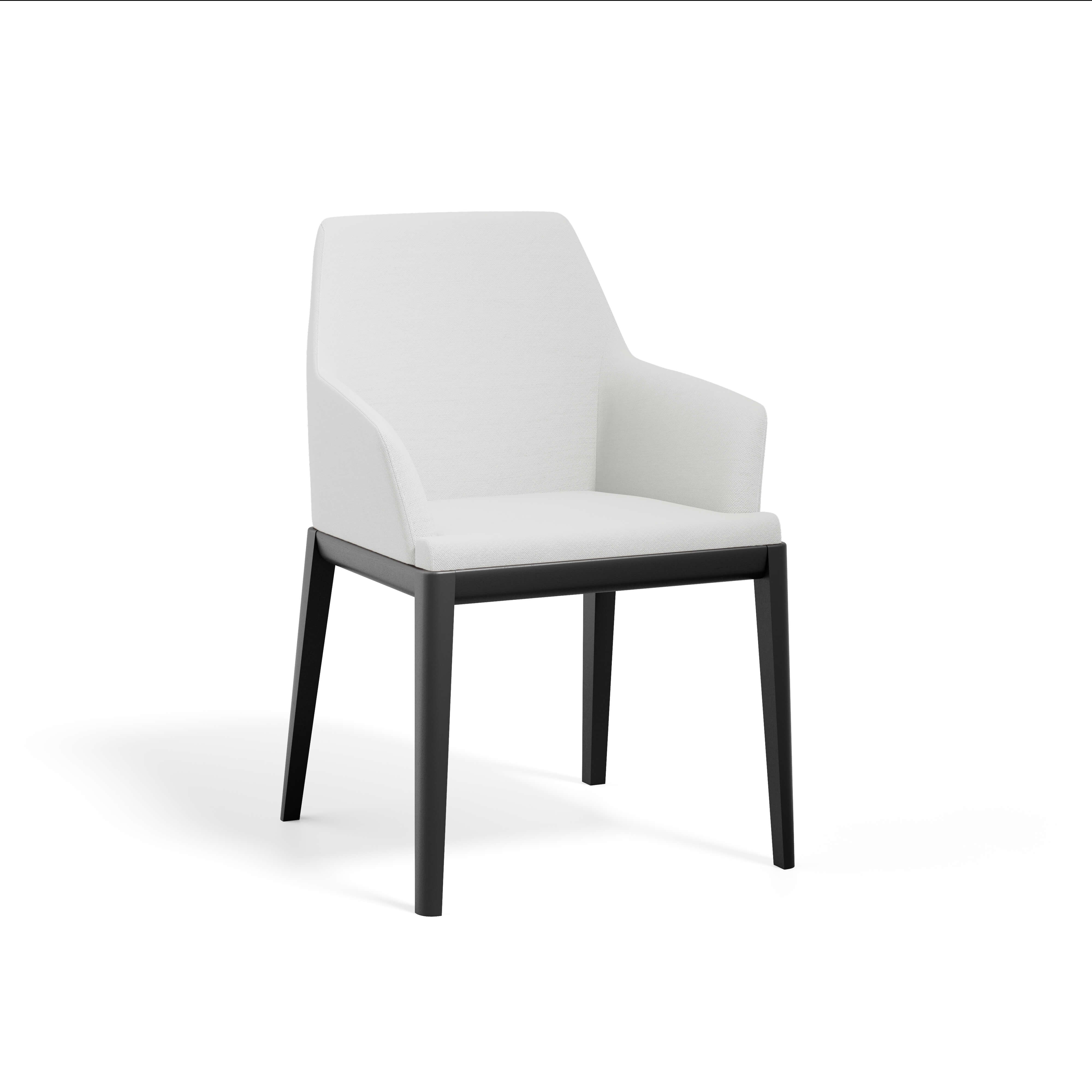 Erus Armchair — view or finish 14