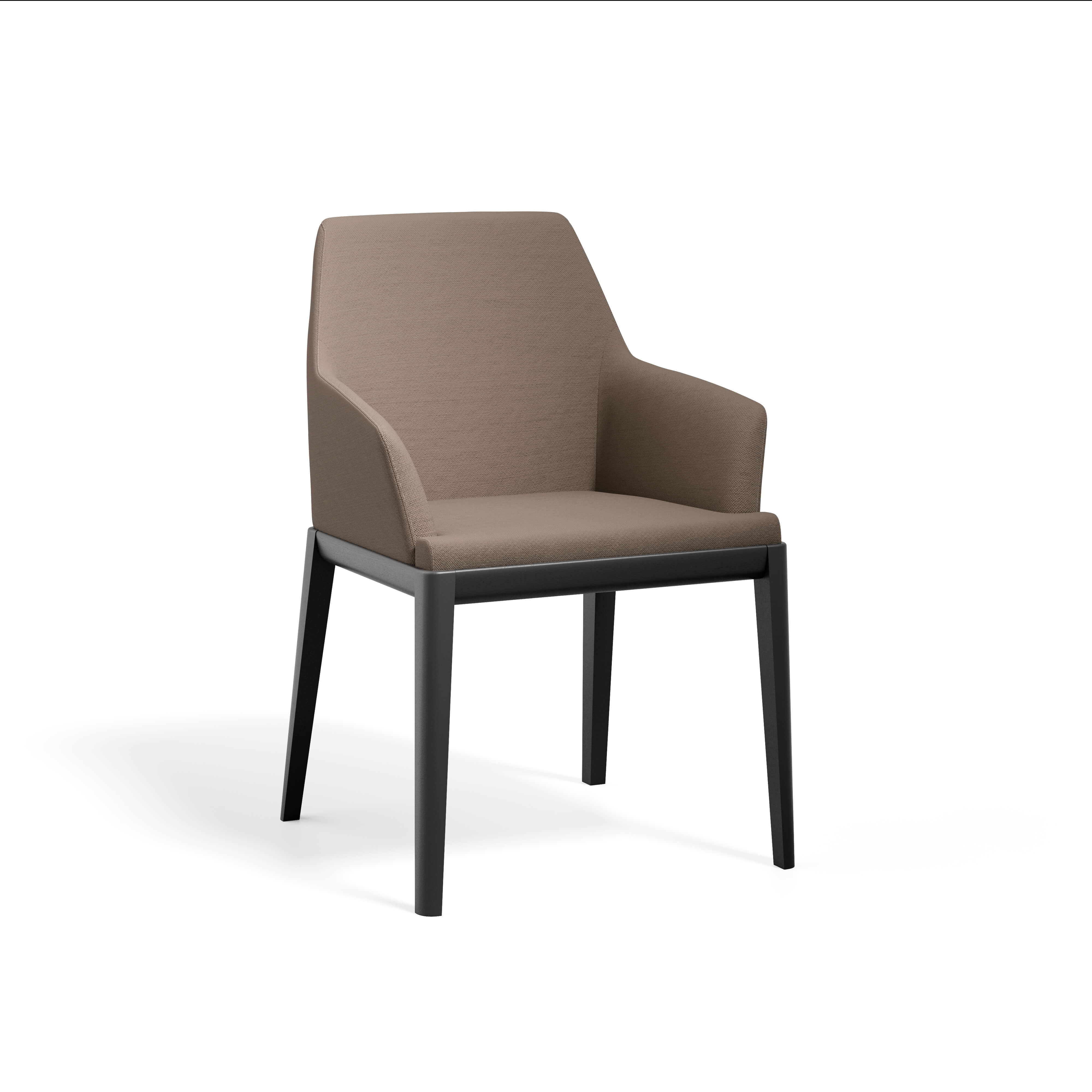 Erus Armchair — view or finish 12