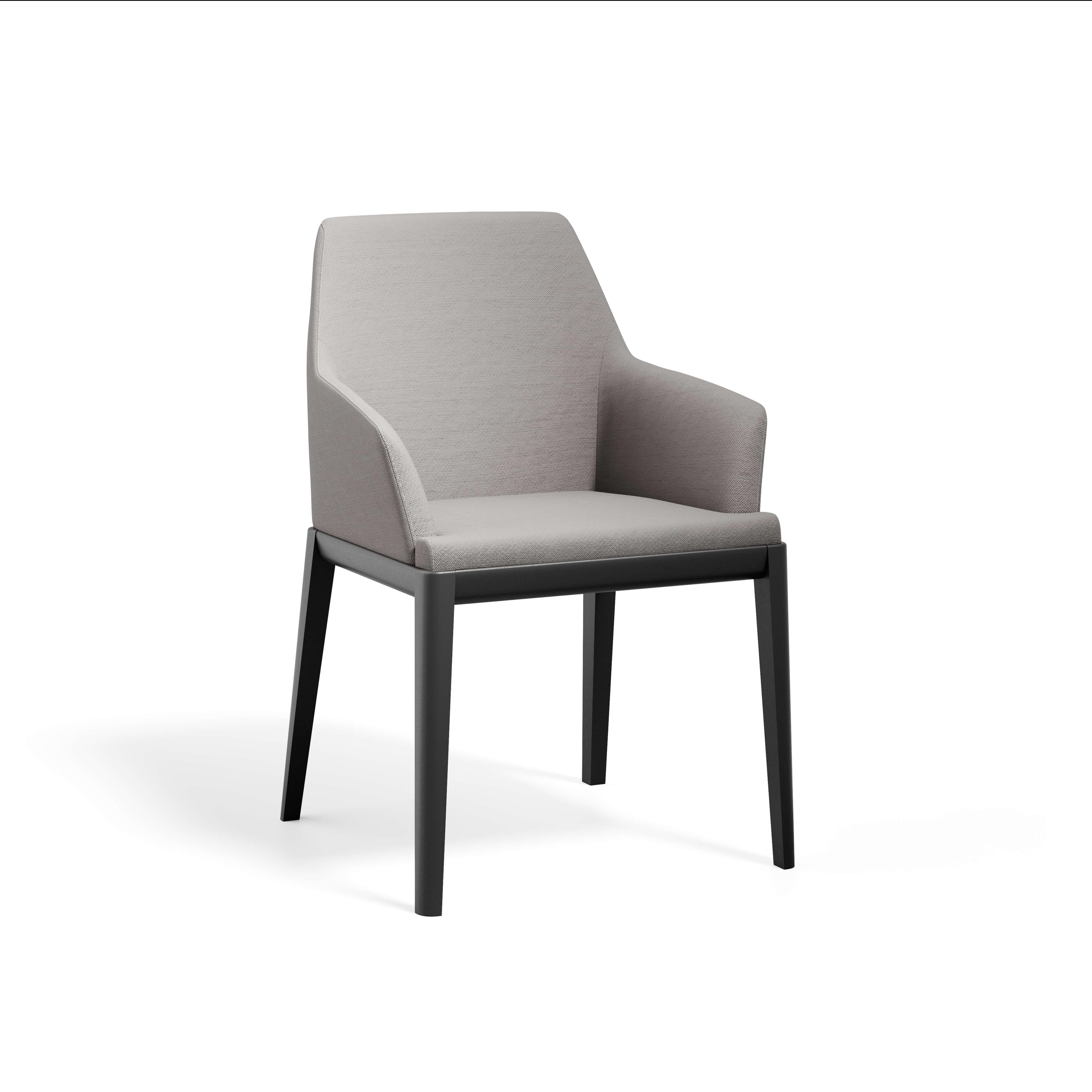 Erus Armchair — view or finish 11