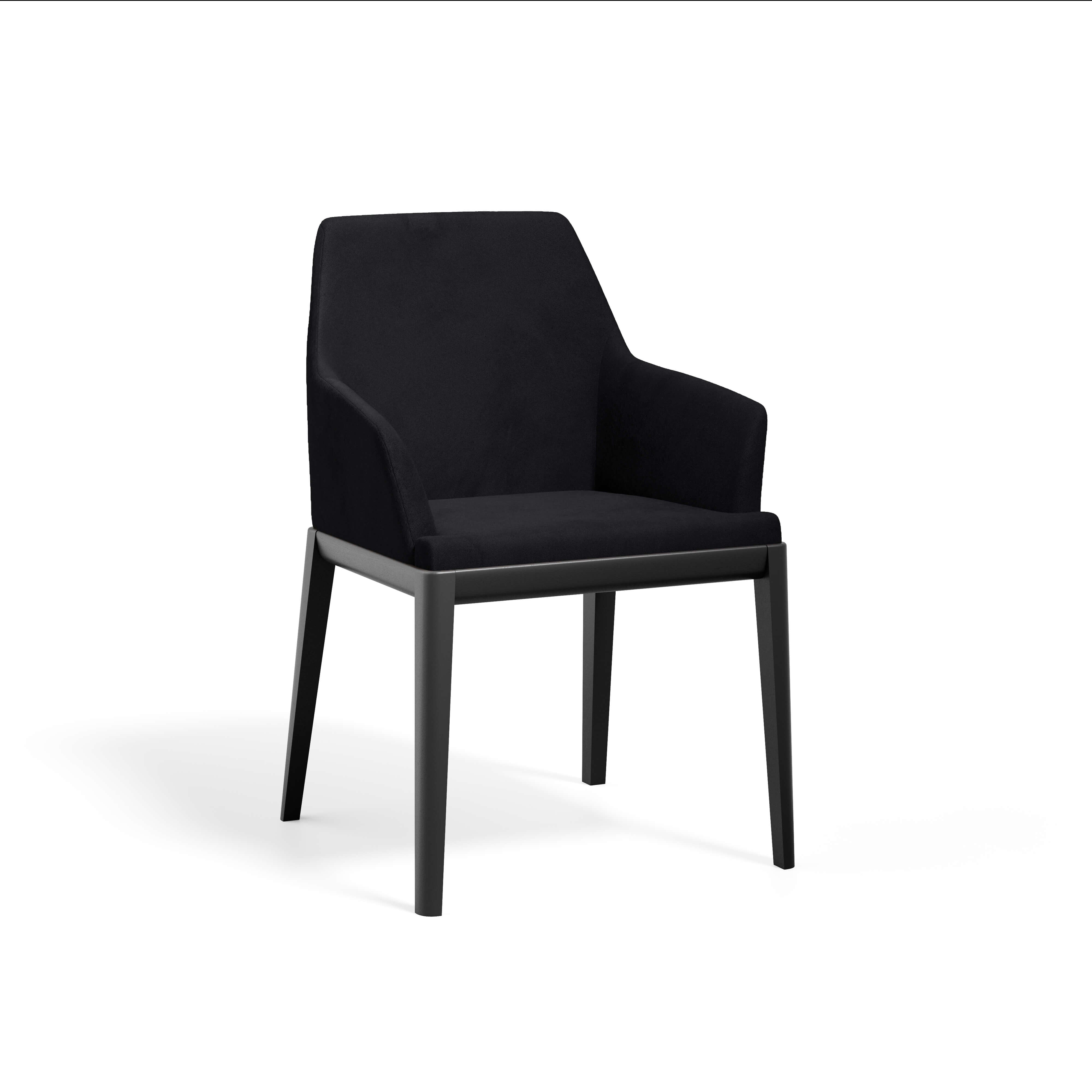 Erus Armchair — view or finish 9