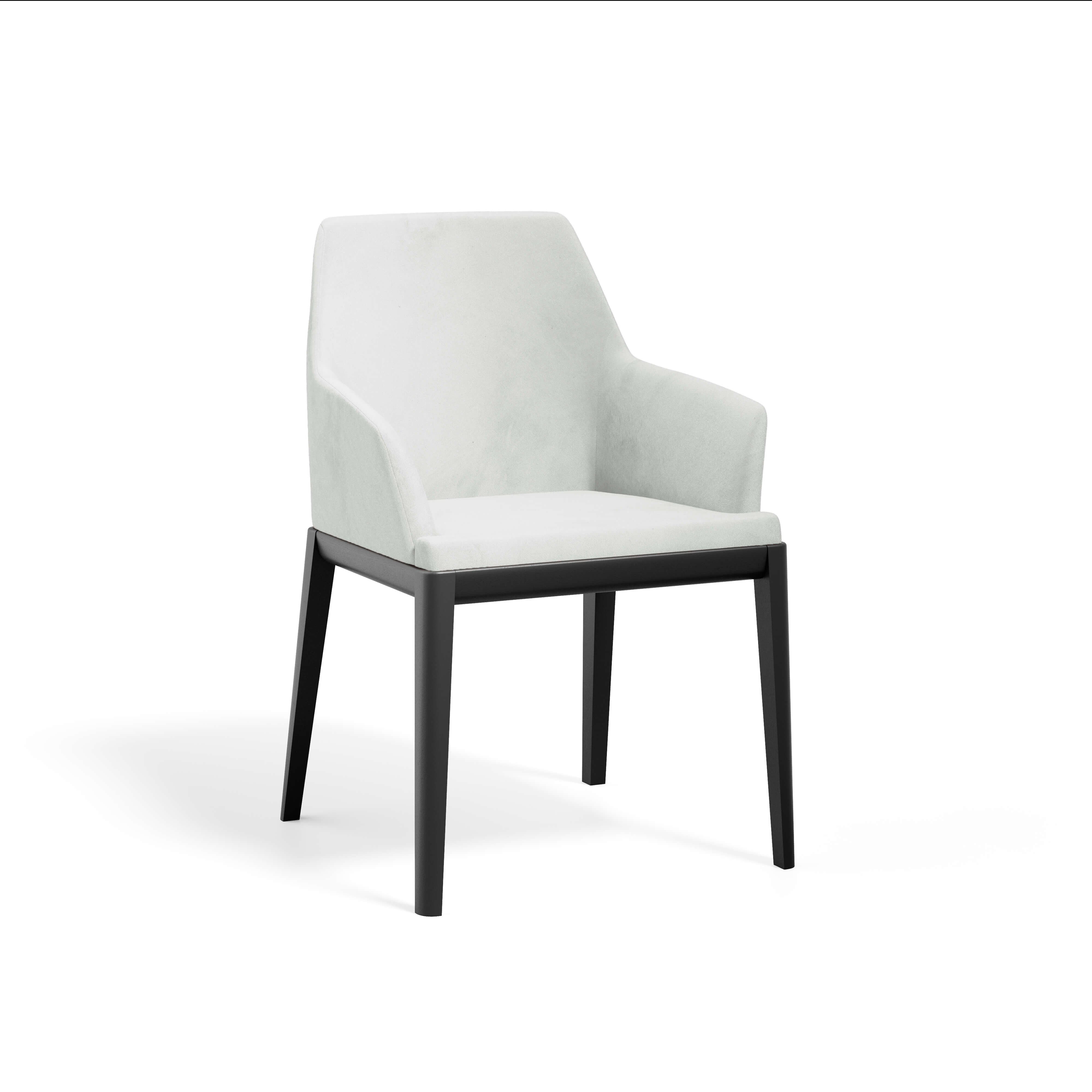 Erus Armchair — view or finish 22