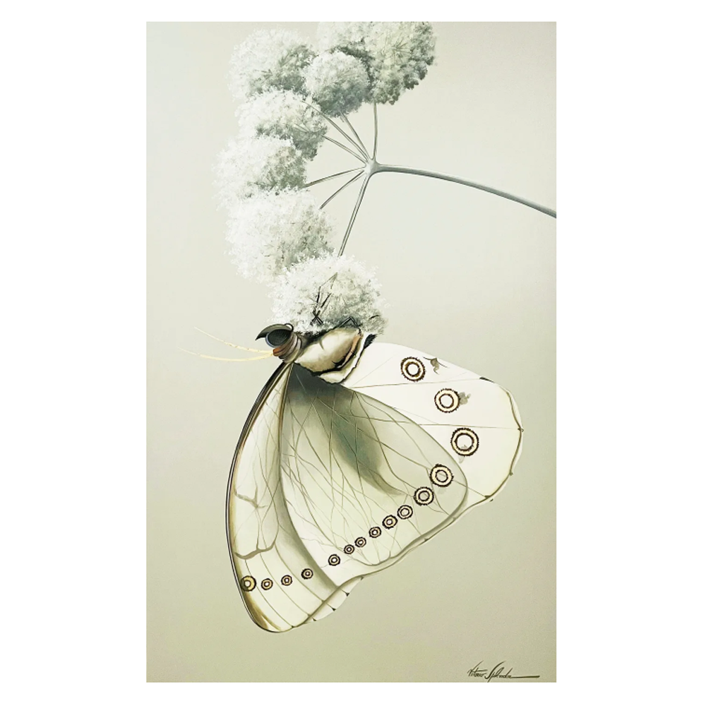 Moth ll - Size 36"X60"