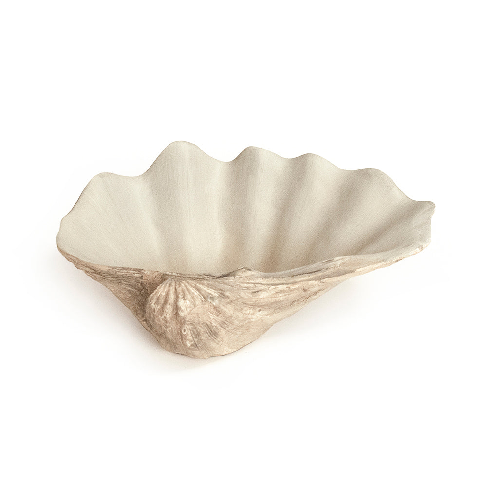 Tridacna Half Shell Bowl